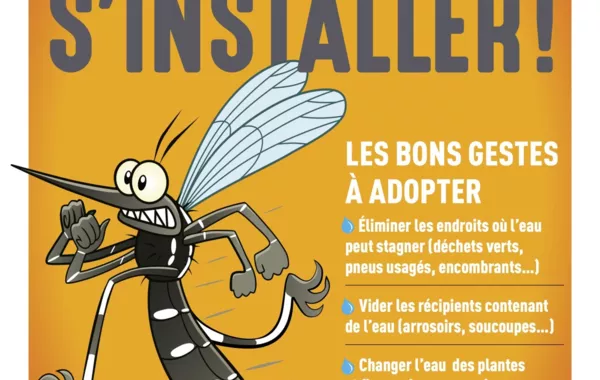 Les moustiques arrivent