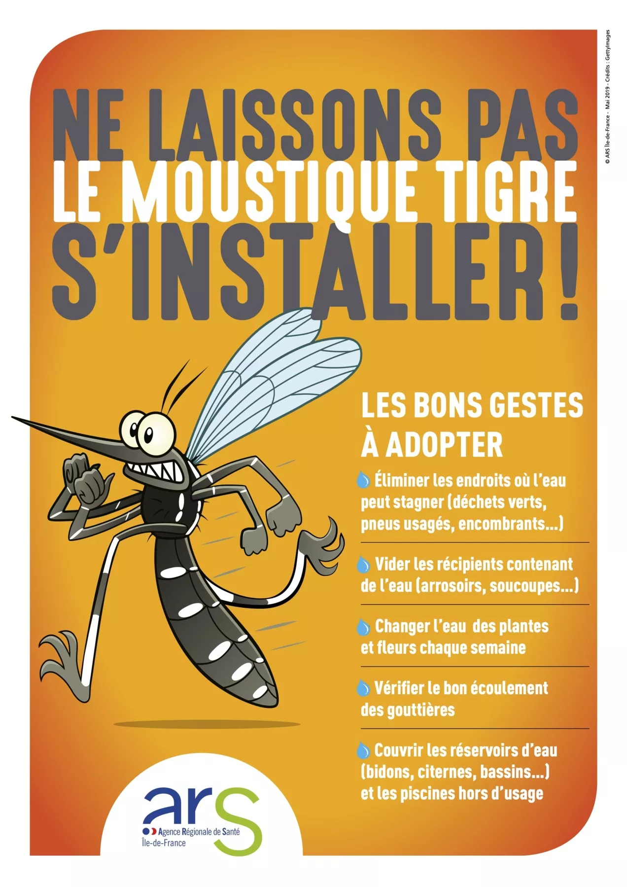 Les moustiques arrivent
